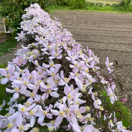 Holiday home Martin *