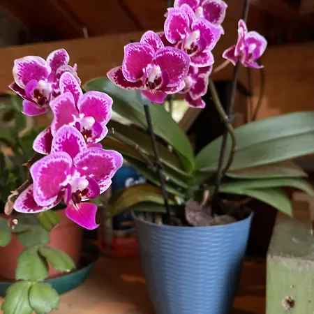 Martin Casa vacanze *