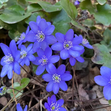 Martin Casa vacanze Trento