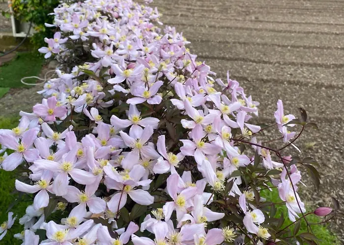 Vakantiehuis Martin *